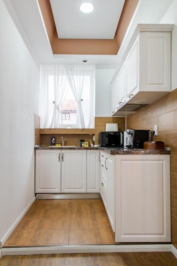 The Leaky Cauldron Apartment Sibiu Exterior foto